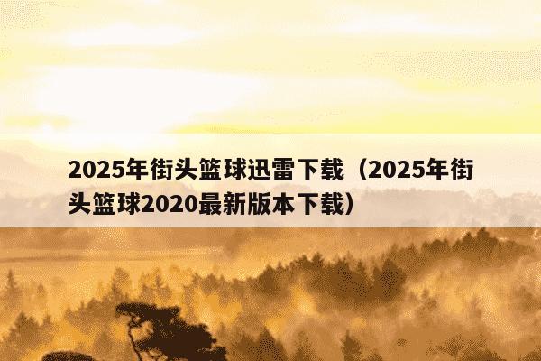 2025年街头篮球迅雷下载(2025年街头篮球2020最新版本下载)