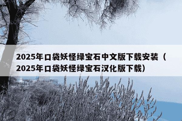 2025年口袋妖怪绿宝石中文版下载安装（2025年口袋妖怪绿宝石汉化版下载）