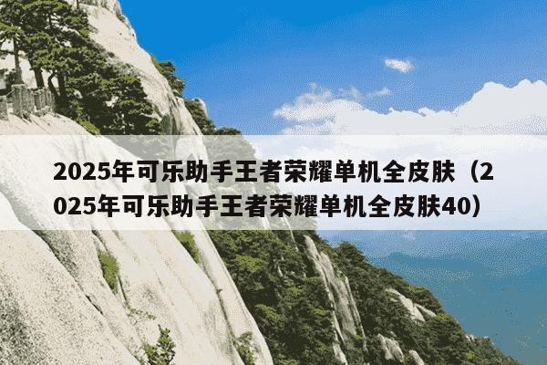 2025年可乐助手王者荣耀单机全皮肤(2025年可乐助手王者荣耀单机全皮肤40)