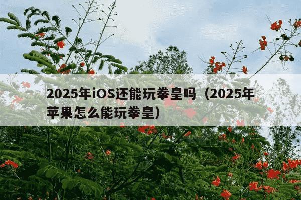2025年iOS还能玩拳皇吗（2025年苹果怎么能玩拳皇）