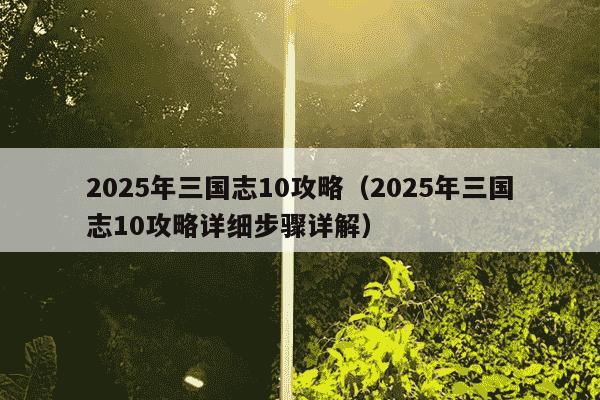 2025年三国志10攻略（2025年三国志10攻略详细步骤详解）