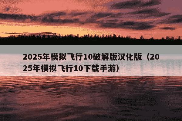 2025年模拟飞行10破解版汉化版(2025年模拟飞行10下载手游)