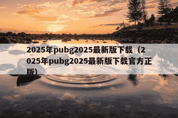2025年pubg2025最新版下载(2025年pubg2025最新版下载官方正版)