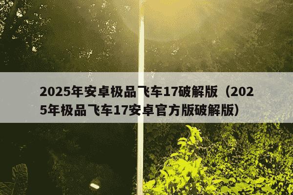 2025年安卓极品飞车17破解版（2025年极品飞车17安卓官方版破解版）