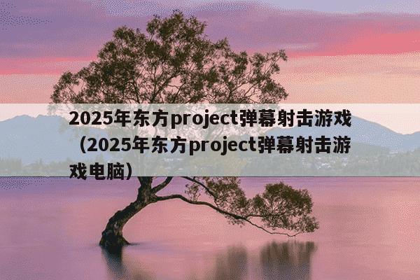 2025年东方project弹幕射击游戏（2025年东方project弹幕射击游戏电脑）