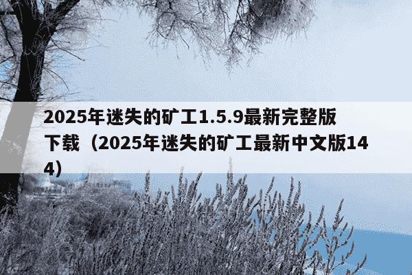 2025年迷失的矿工1.5.9最新完整版下载（2025年迷失的矿工最新中文版144）