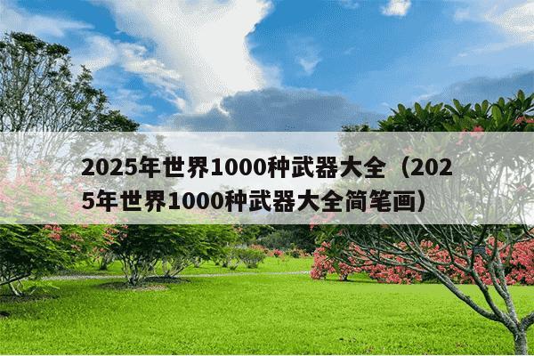 2025年世界1000种武器大全（2025年世界1000种武器大全简笔画）