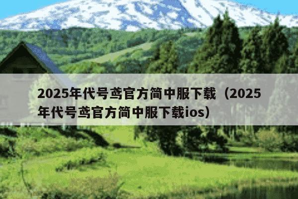 2025年代号鸢官方简中服下载（2025年代号鸢官方简中服下载ios）