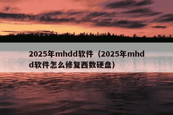 2025年mhdd软件（2025年mhdd软件怎么修复西数硬盘）