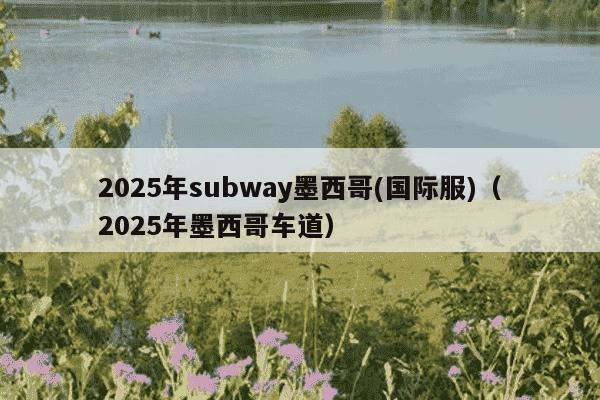 2025年subway墨西哥(国际服)（2025年墨西哥车道）