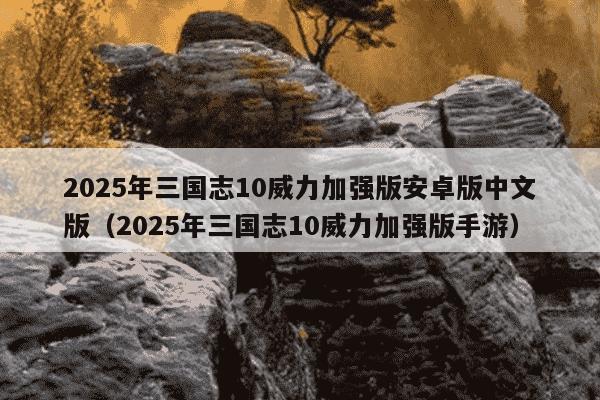 2025年三国志10威力加强版安卓版中文版（2025年三国志10威力加强版手游）