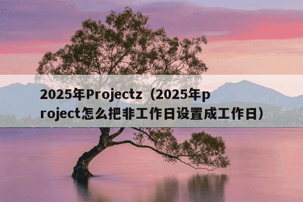 2025年Projectz（2025年project怎么把非工作日设置成工作日）