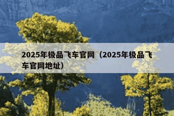 2025年极品飞车官网（2025年极品飞车官网地址）