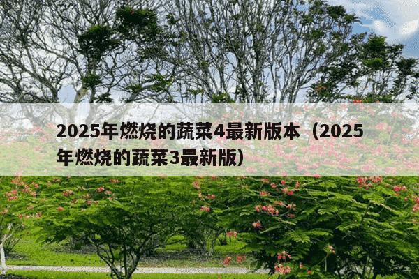 2025年燃烧的蔬菜4最新版本（2025年燃烧的蔬菜3最新版）
