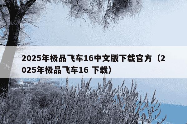 2025年极品飞车16中文版下载官方（2025年极品飞车16 下载）