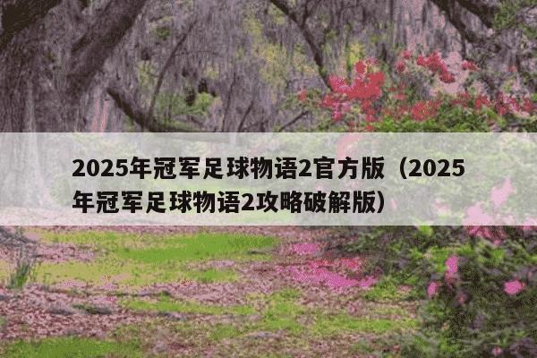 2025年冠军足球物语2官方版（2025年冠军足球物语2攻略破解版）