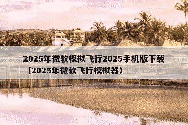 2025年微软模拟飞行2025手机版下载（2025年微软飞行模拟器）
