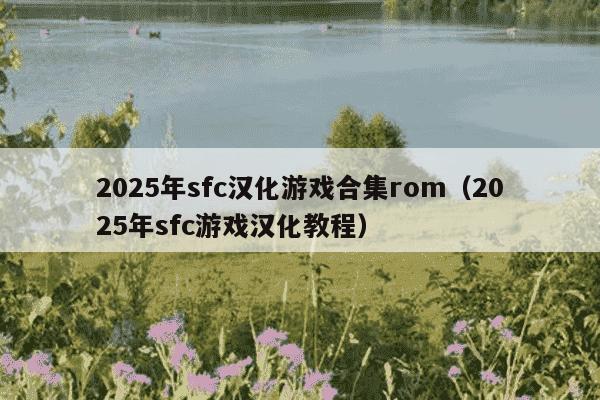2025年sfc汉化游戏合集rom（2025年sfc游戏汉化教程）