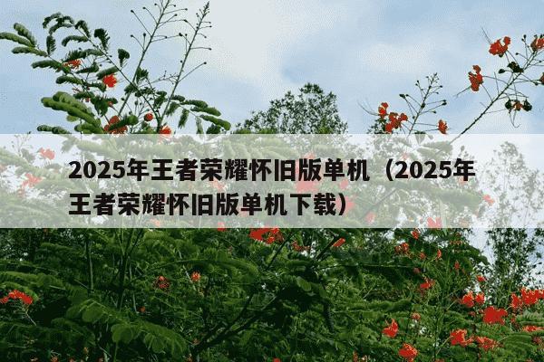 2025年王者荣耀怀旧版单机（2025年王者荣耀怀旧版单机下载）