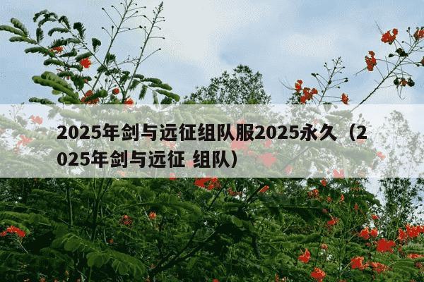 2025年剑与远征组队服2025永久（2025年剑与远征 组队）