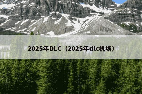 2025年DLC（2025年dlc机场）