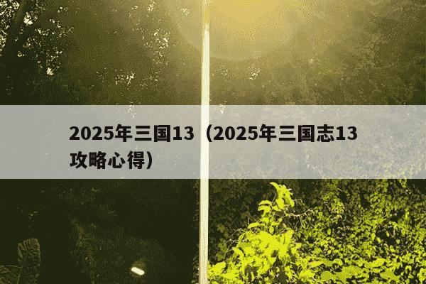 2025年三国13（2025年三国志13攻略心得）