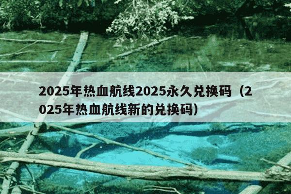 2025年热血航线2025永久兑换码（2025年热血航线新的兑换码）