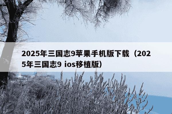 2025年三国志9苹果手机版下载（2025年三国志9 ios移植版）