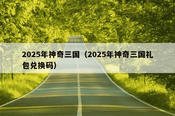 2025年神奇三国（2025年神奇三国礼包兑换码）