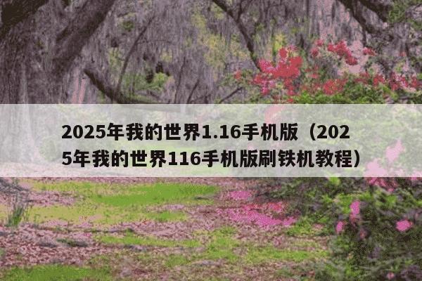 2025年我的世界1.16手机版（2025年我的世界116手机版刷铁机教程）