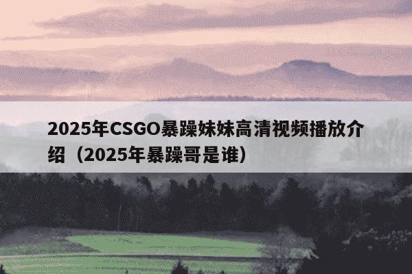 2025年CSGO暴躁妹妹高清视频播放介绍（2025年暴躁哥是谁）