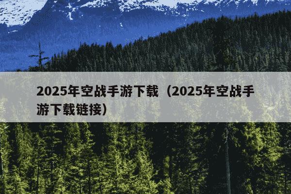 2025年空战手游下载（2025年空战手游下载链接）