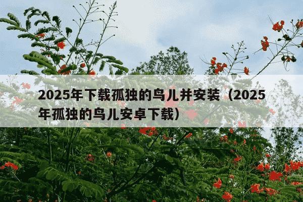 2025年下载孤独的鸟儿并安装（2025年孤独的鸟儿安卓下载）