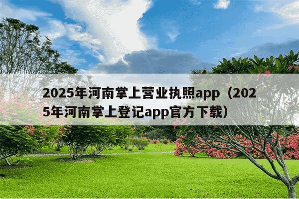 2025年河南掌上营业执照app（2025年河南掌上登记app官方下载）