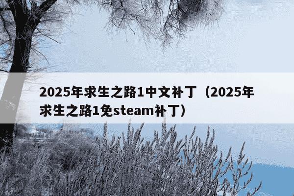2025年求生之路1中文补丁(2025年求生之路1免steam补丁)