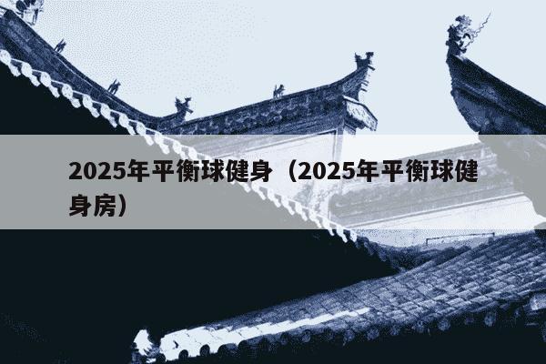 2025年平衡球健身（2025年平衡球健身房）
