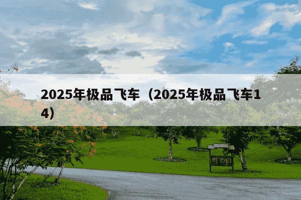 2025年极品飞车（2025年极品飞车14）