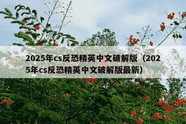 2025年cs反恐精英中文破解版（2025年cs反恐精英中文破解版最新）