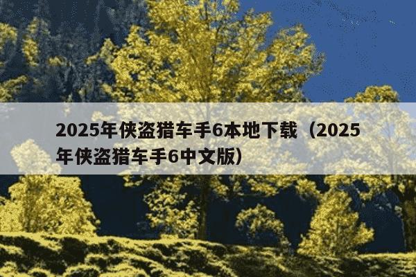 2025年侠盗猎车手6本地下载（2025年侠盗猎车手6中文版）