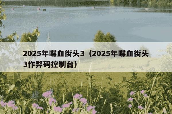 2025年喋血街头3（2025年喋血街头3作弊码控制台）