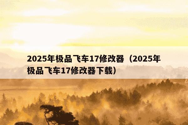 2025年极品飞车17修改器（2025年极品飞车17修改器下载）
