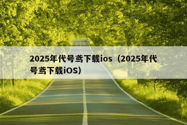 2025年代号鸢下载ios（2025年代号鸢下载iOS）