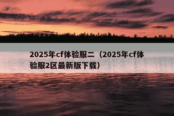 2025年cf体验服二（2025年cf体验服2区最新版下载）