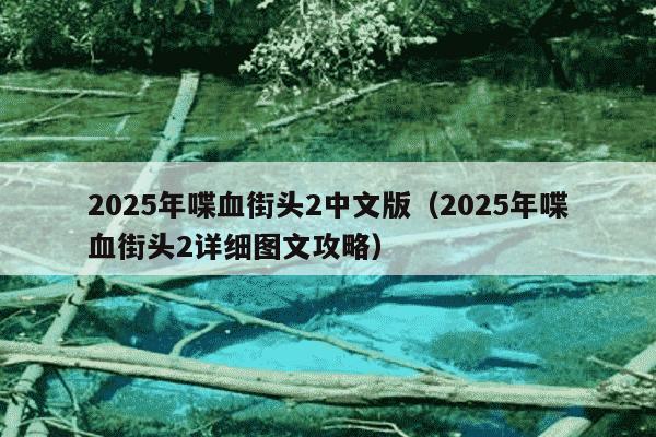 2025年喋血街头2中文版（2025年喋血街头2详细图文攻略）