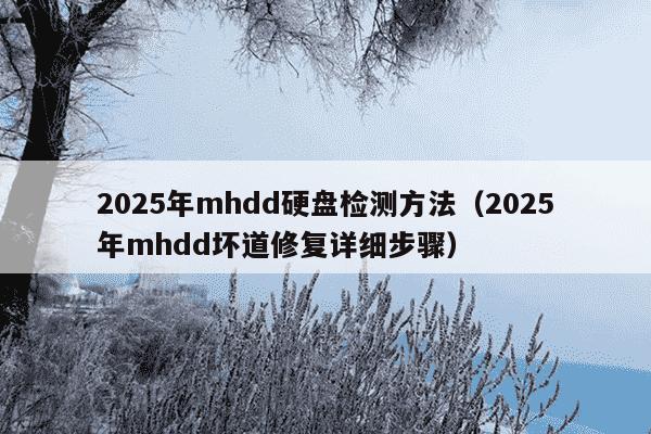 2025年mhdd硬盘检测方法（2025年mhdd坏道修复详细步骤）