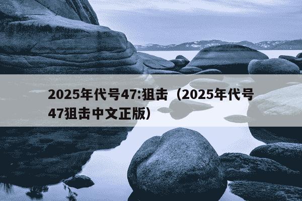 2025年代号47:狙击（2025年代号47狙击中文正版）
