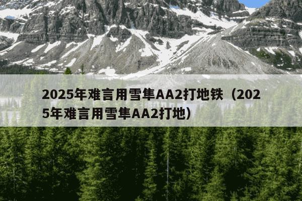 2025年难言用雪隼AA2打地铁（2025年难言用雪隼AA2打地）