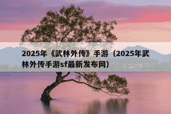 2025年《武林外传》手游（2025年武林外传手游sf最新发布网）