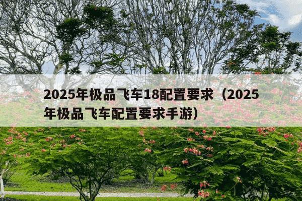2025年极品飞车18配置要求（2025年极品飞车配置要求手游）