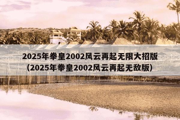 2025年拳皇2002风云再起无限大招版（2025年拳皇2002风云再起无敌版）